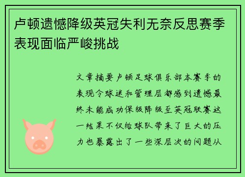 卢顿遗憾降级英冠失利无奈反思赛季表现面临严峻挑战